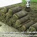 Sod Installation Minneapolis Download Song Mp3 and Mp4
