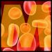 M is for Microscopic Lifeforms