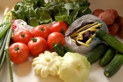 Stone Soup Farm CSA Week Eleven