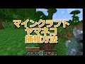マイン クラフト ヤマネコ 122474-マインクラフト ヤマネコ 飼い方