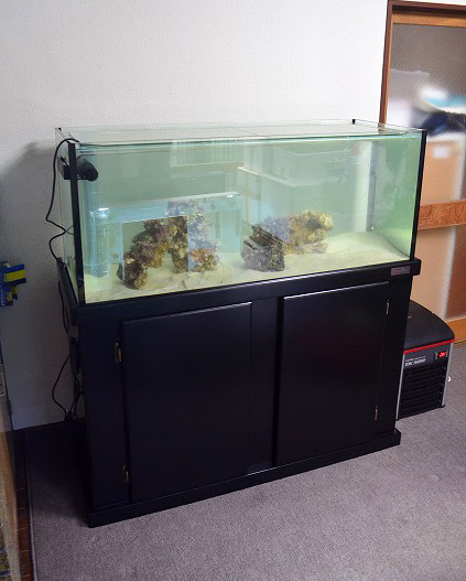 オーバーフロー設置 1cmマーフィード水槽in葉山 生麦海水魚センター