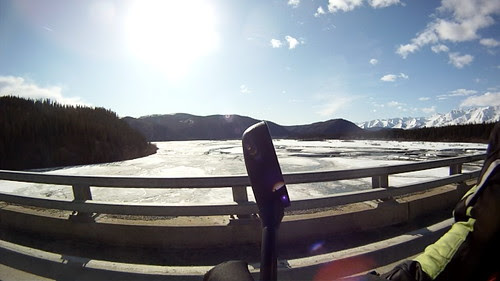 Everyday for 7 Weeks - Day 14 - Tok to Fairbanks