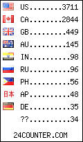 visitors by country counter