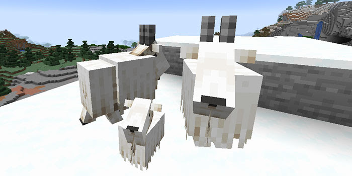 22最新版 全35種のマイクラの動物 手なづけと繁殖の方法まとめ マイクラモール