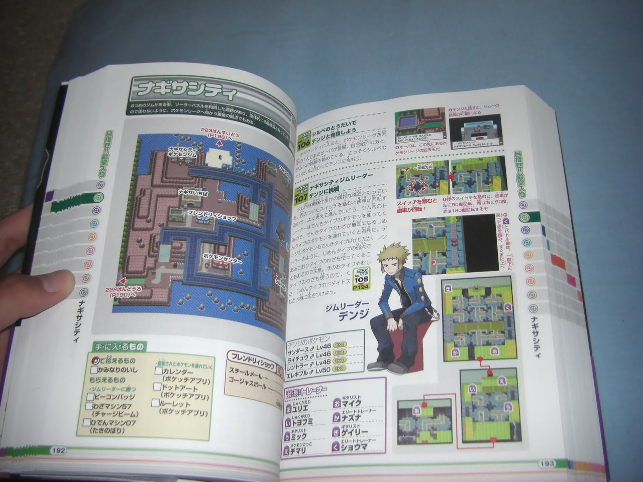 プラチナの攻略本を買ってきた 何とも言えないゲーム日記