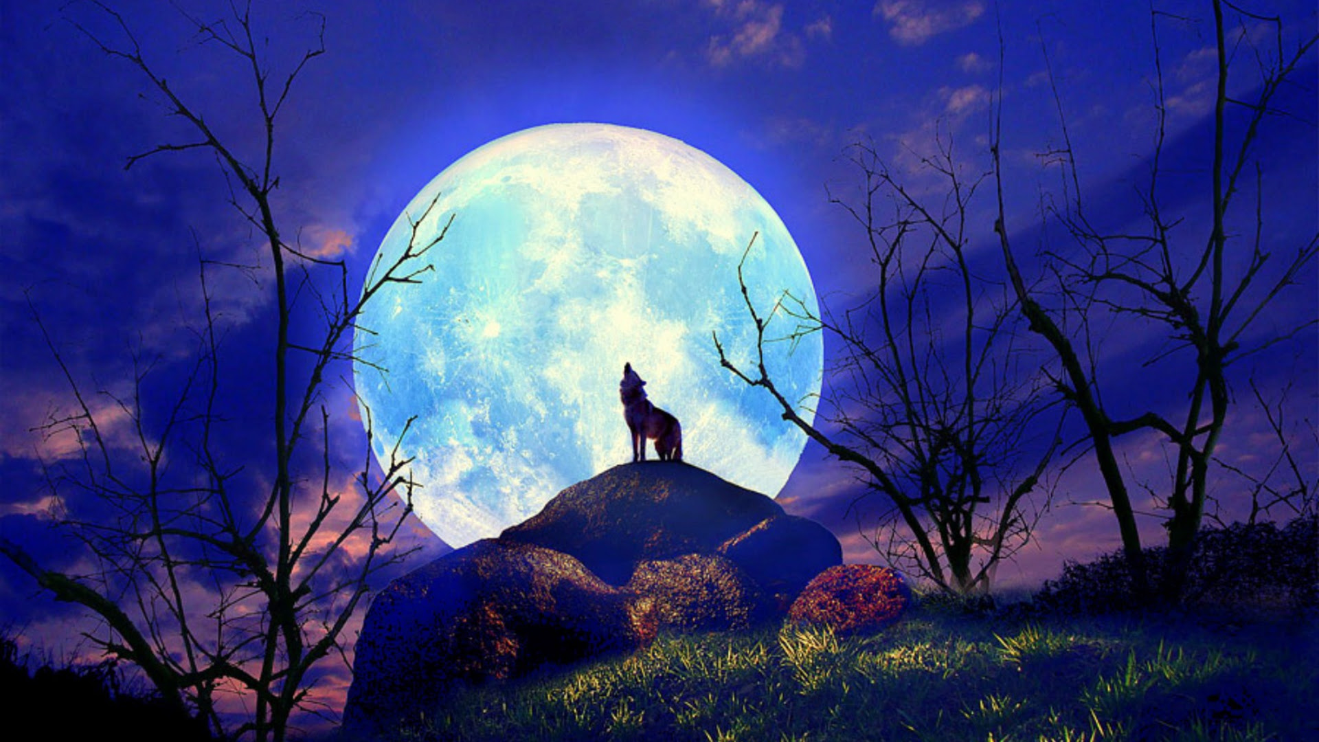 Beautiful Nature Wallpapers | Best Wallpapers