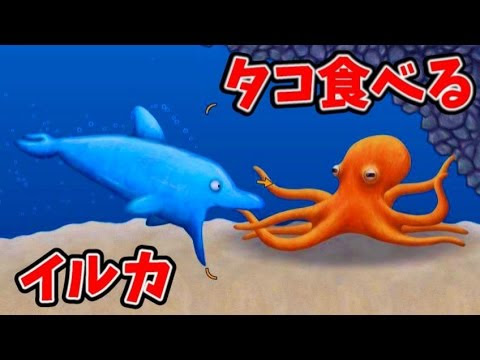 魚からイルカへ 弱肉強食の世界 さとちんlaw Of The Jungle ゲーム実況byさとちん ゲーム実況アンテナ
