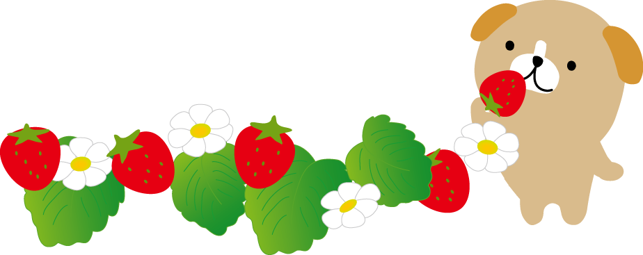 春 苺 いちご のイラスト 無料イラスト フリー素材