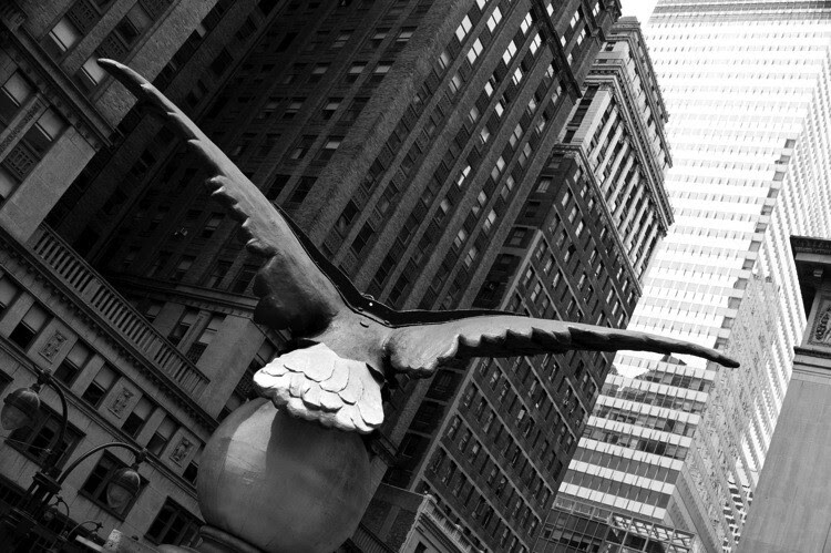 16 soaring eagle grand central