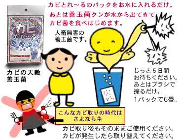 かびとり カビ退治に自然のかび取り カビとれ る 地球館