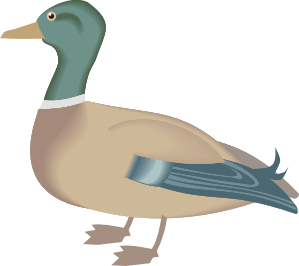 Clipart 158441