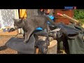 Сахалин и Курилы. Россия. Часть 1