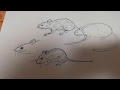 [新しいコレクション] リアル かわいい ねずみ イラスト 641932