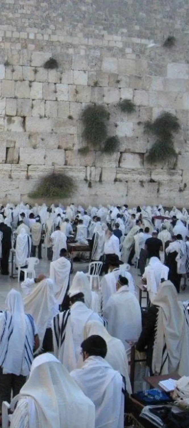 אמירת "סליחות" ברחבת הכותל המערבי - חדשות בארץ - ערוץ 7 ...