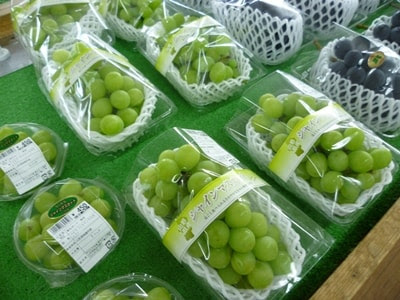 シャインマスカット入荷しました 山形県長井市 市民直売所 おらんだ市場菜なポート