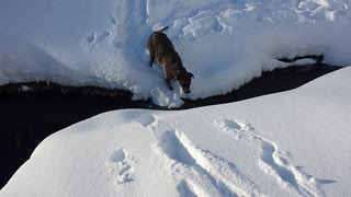 20140104_095250