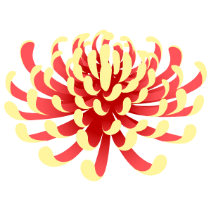 菊の花1 花 植物イラスト Flode Illustration フロデイラスト