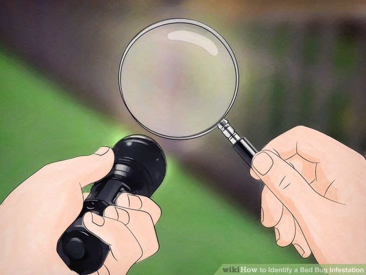 Identify a Bed Bug Infestation Step 21 Version 2.jpg
