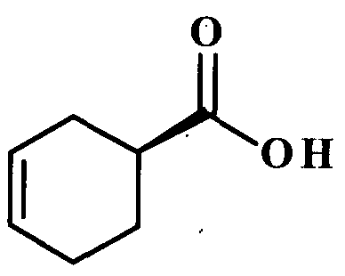 Figure imgf000005_0002