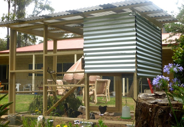 What They're Saying About Our Chicken Coop and Run Plans in Australia