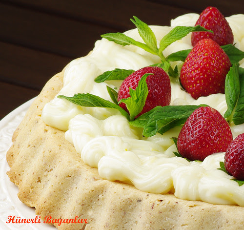  Turta  & Tart 