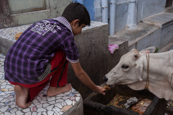 Eid al-Adha 2015: Bombay High Court refuses to lift beef 