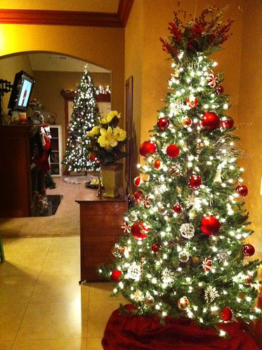 Trees!