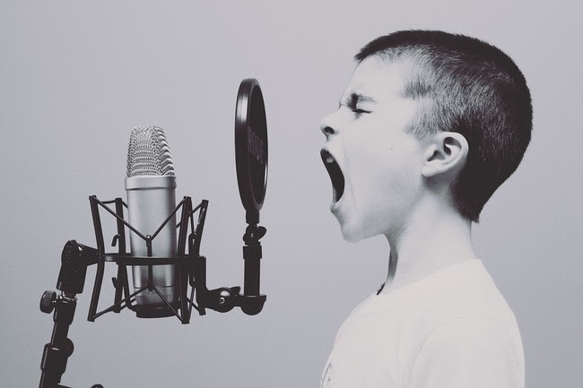 Microphone 1209816 960 720