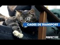 √ Terminé! chat empoisonné chance de survie 142358