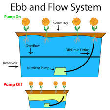 3 iEbbi iand Flowi System Tanaman iHidroponiki 2019 3 iEbbi iand Flowi System Tanaman iHidroponiki 2019