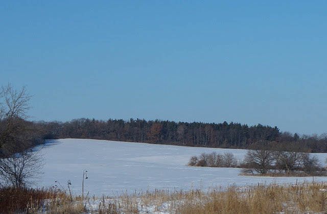 farmette winter-11.jpg