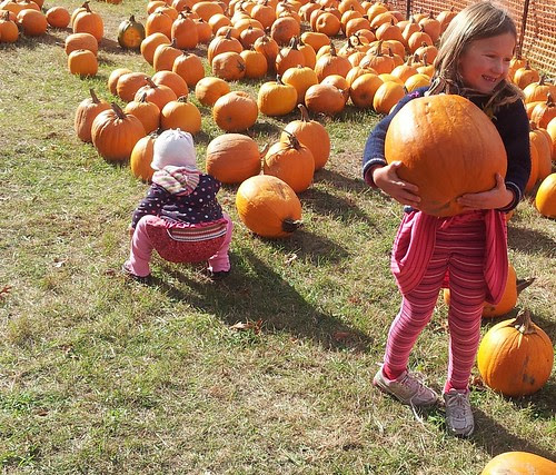 20131018_142631