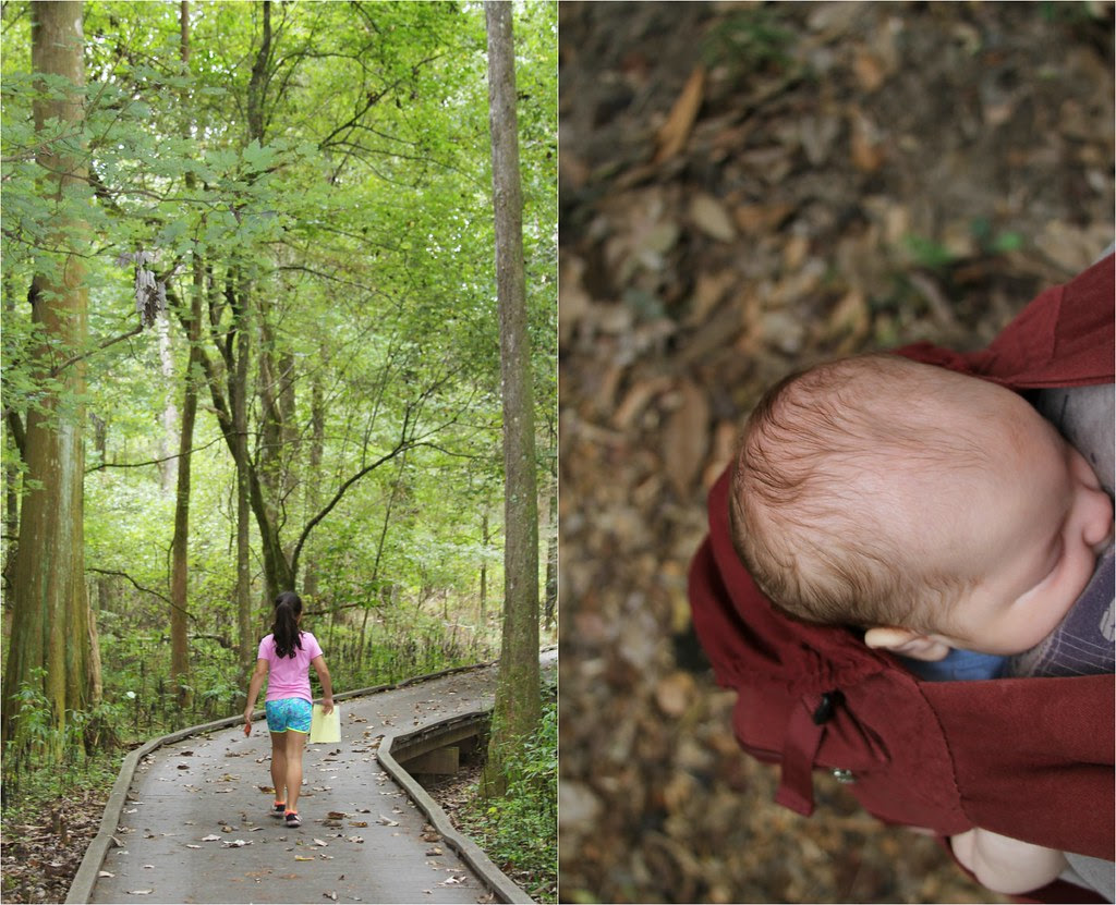 hikeCollage
