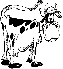 cow gif
