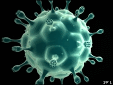 Virus VIH (SPL)