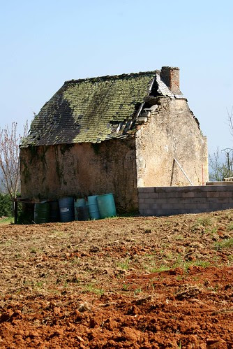 DSC04696