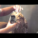 How To Properly Wash A Dog Free Download Videos Mp3 and Mp4