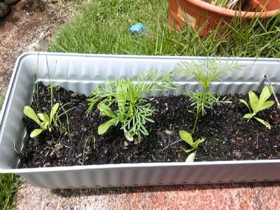 i also got 2 new tattoos..they were inspired by The Boondock Saints..i loved 