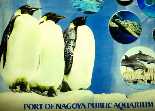 皇帝ペンギンに会いに 自己ベスト更新中