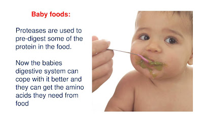 What Enzymes Are Used In Baby Food