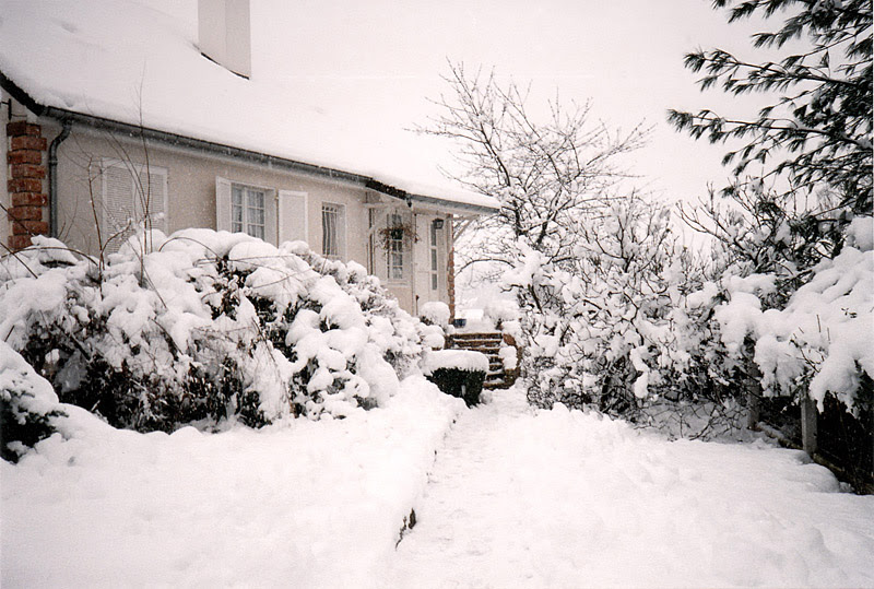 Decembre 1990 Dans L Est Lyonnais Photos Videos Et Materiel De Prise De Vue Les Forums D Infoclimat