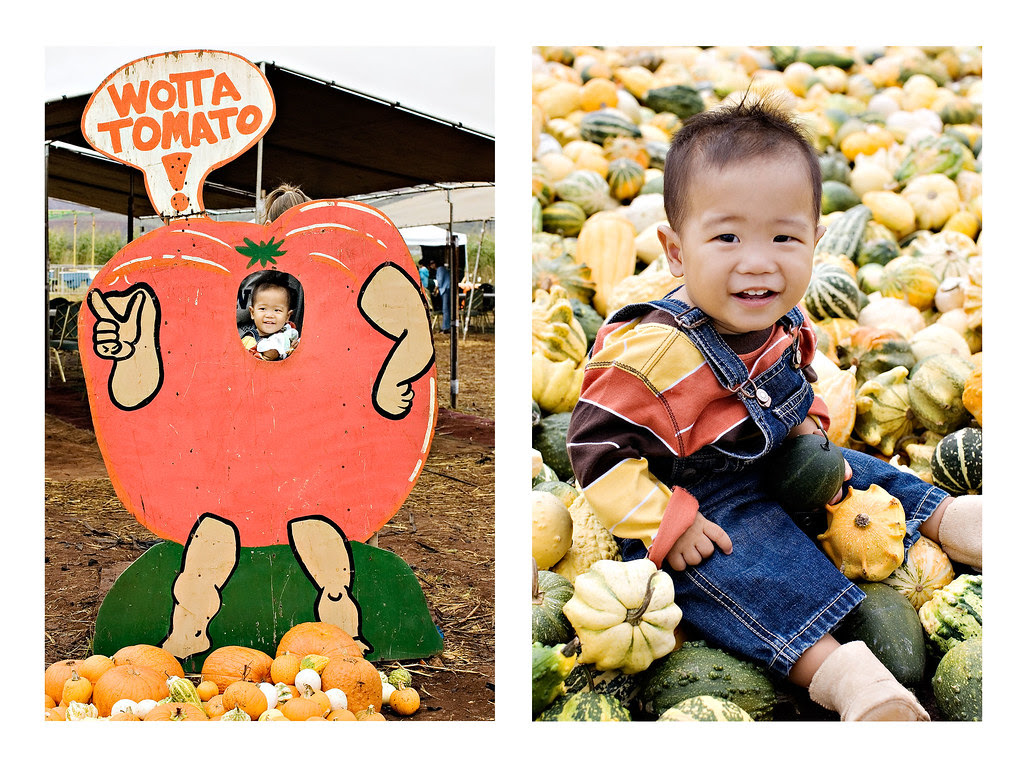 aloun farms blog