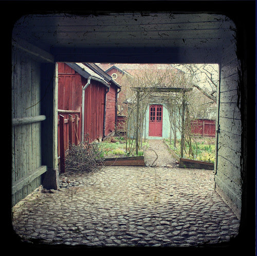 through the viewfinder