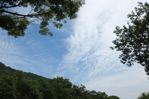 福島で見た空