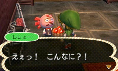 とびだせどうぶつの森 ししょー とびだせどうぶつの森 ななむら日記