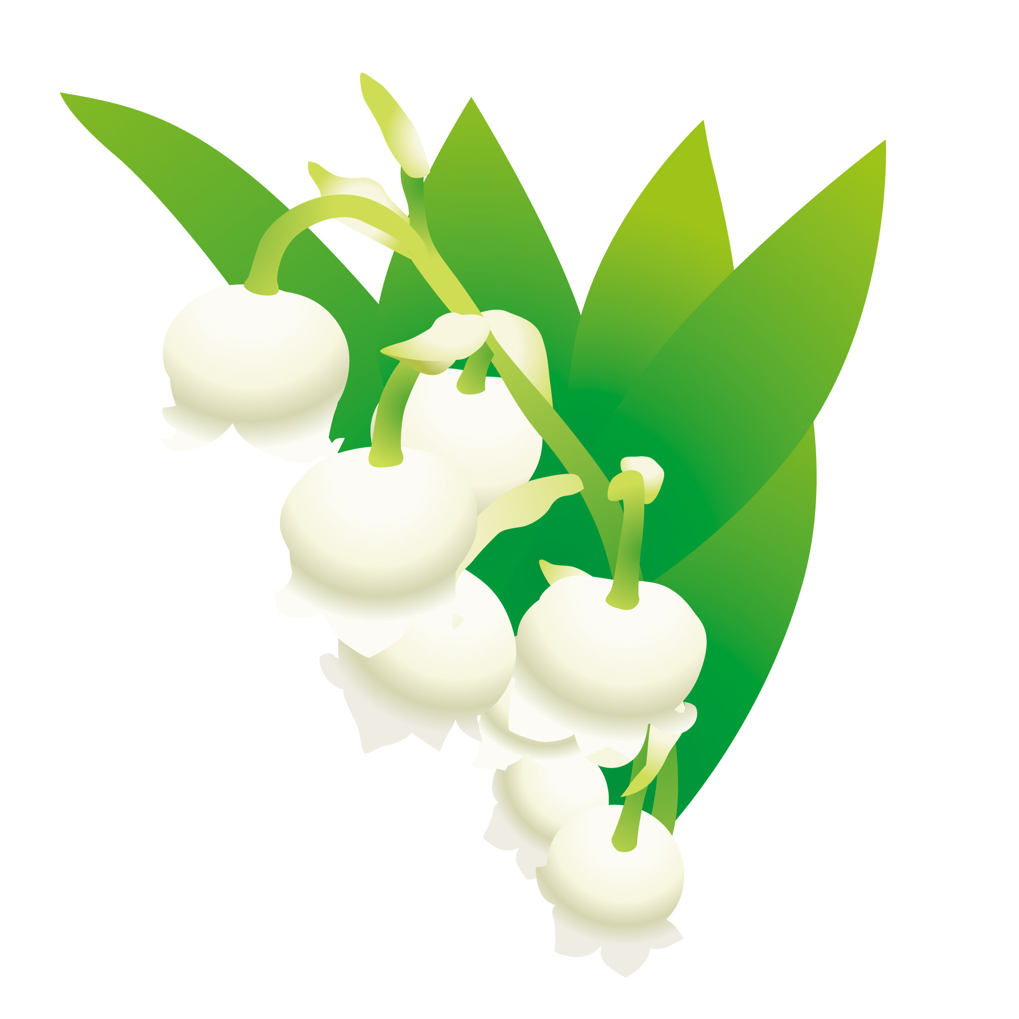 花のイラスト 無料 てつお使えるイラストぷらす