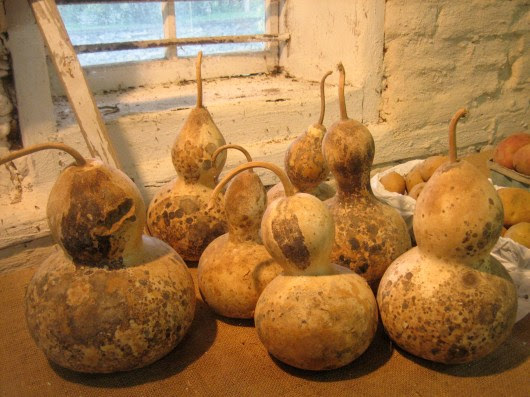 Poultry Farm Shed Design In Pakistan shed design software online