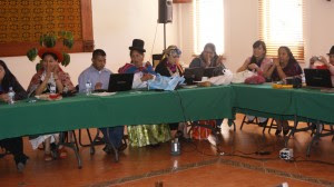Fortalecimiento de la Mujer Indígena