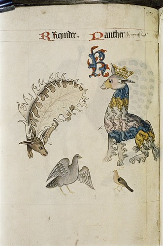 Reindeer and Panther. Striped animal with curly hair.