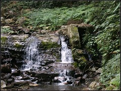 DSC03552